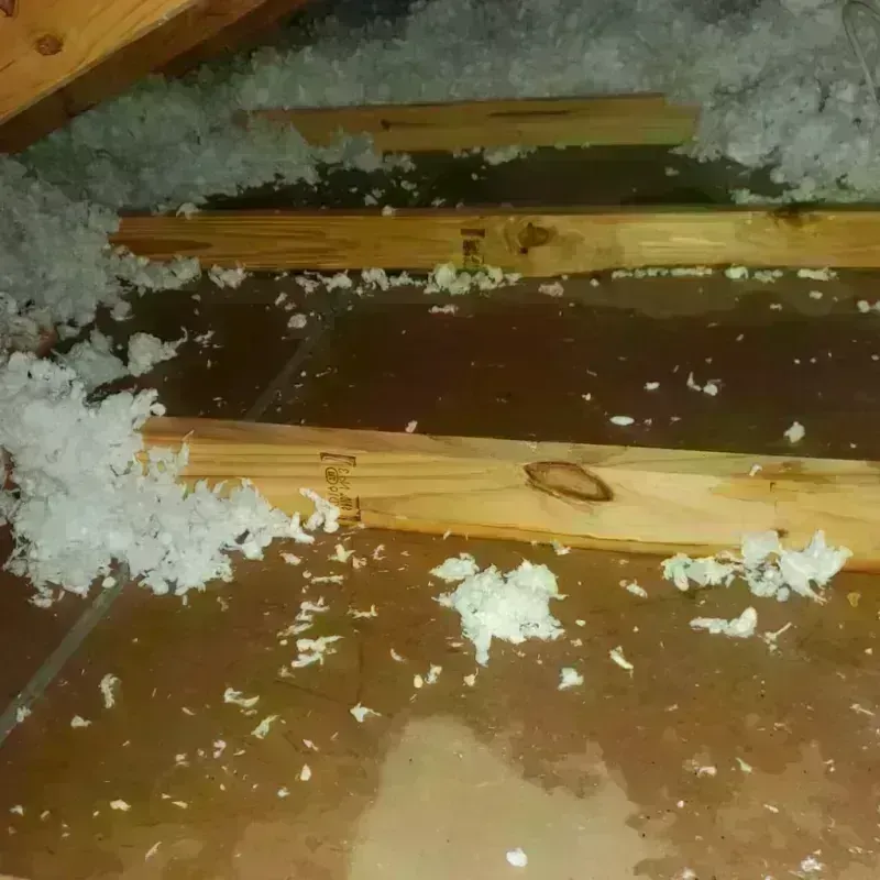 Attic Water Damage in White Meadow Lake, NJ